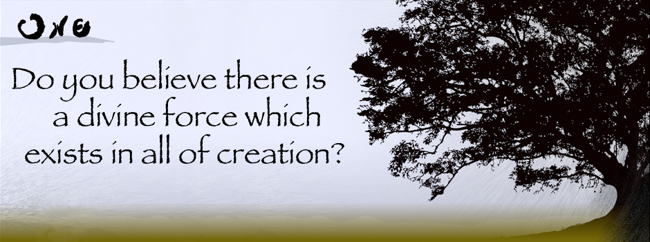 ONE The Project & Store